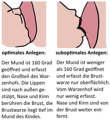 Infografik mit dem tiefem und oberflächlichem Anlegen