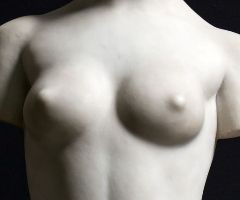 weibliches Torso