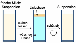 Grafik mit Milchplasma und Milchfett