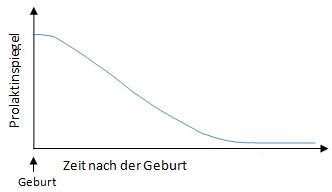 Diagramm mit Prolaktinspiegel