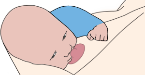 Zeichnung: Das Baby liegt mit der gesamten Oberfläche seines Oberkörpers Bauch an Bauch zur Mutter angeschmiegt, die Händchen liegen auf beiden Seiten hochgewinkelt und umarmen die Mutter. Sein Kinn ist in die Brust gedrückt, vor seiner Nase liegt die Brustwarze.