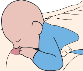 Zeichnung - das Baby sucht nach der Brustwarze und nimmt die Faust in den Mund