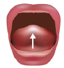 BTAT / TABBY Element Anheben der ganzen Zunge