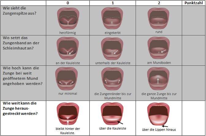 Der 4. Teil des BTAT / TABBY Beurteilungsbogens - Herausstrecken der Zunge