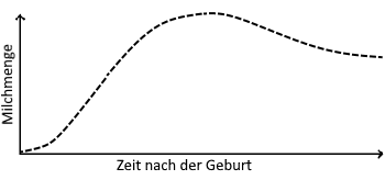 Grafik für zu viel Milch mit Milchmenge auf der Y-Achse und Zeit nach der Geburt auf der X-Achse