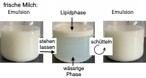 Muttermilch als Emulsion und in 2 Phasen