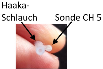 Vergleich Haake-Schlauch und Sonde CH5