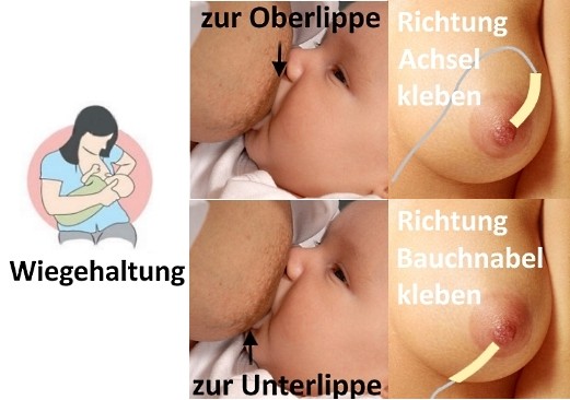 Platzierung des Schlauchs in der Wiegehaltung